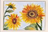 Sonnenblumen3.jpg
