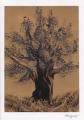 comp_baum-gold.jpg