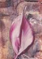 flora-5.jpg
